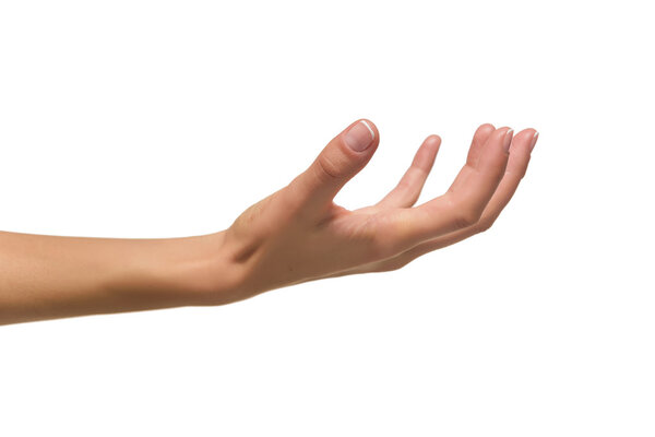 Открой женскую руку, ладонью вверх.
.