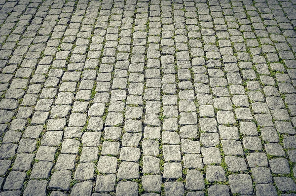 City pavers with grass. — Stock Photo, Image