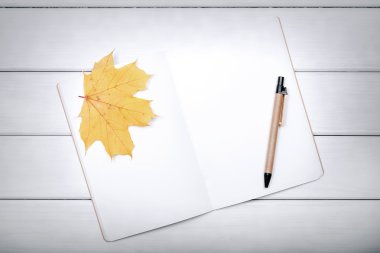 Kalem ve sonbahar yaprakları ile alıştırma kitabı.