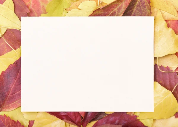 La hoja del papel sobre las hojas otoñales . —  Fotos de Stock