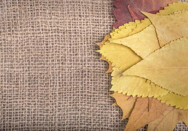Folhas de outono em pano de saco . — Fotografia de Stock