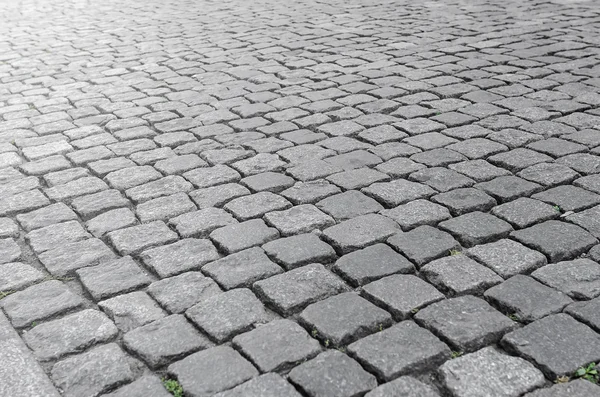 Cobbles with reflections of of sunlight. — Stock Photo, Image