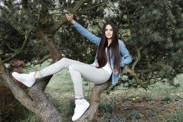 Menina bonita posando no parque no fundo de abetos — Fotografia de Stock