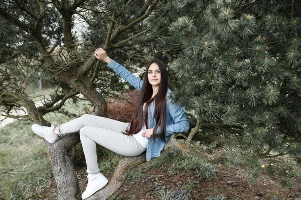 Pretty girl posing in the park on the background of fir trees — Φωτογραφία Αρχείου
