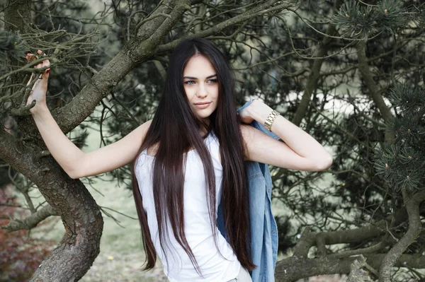 Pretty girl posing in the park on the background of fir trees — 图库照片
