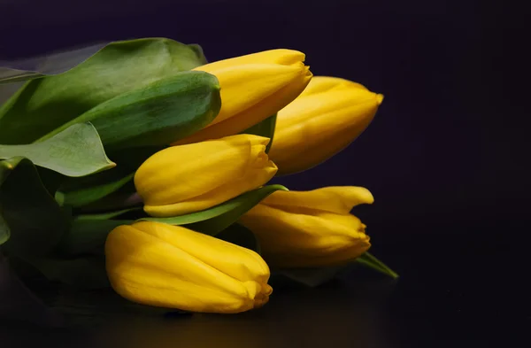 Bouquet of yellow tulips on a black background
