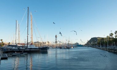 Port Vell İspanya 'nın Barcelona şehrindeki en eski ve en büyük limandır. Güzel bir gökyüzünün arka planında yatları olan bir rıhtım. Birçok martı etrafta uçar. Açık deniz bölmesi