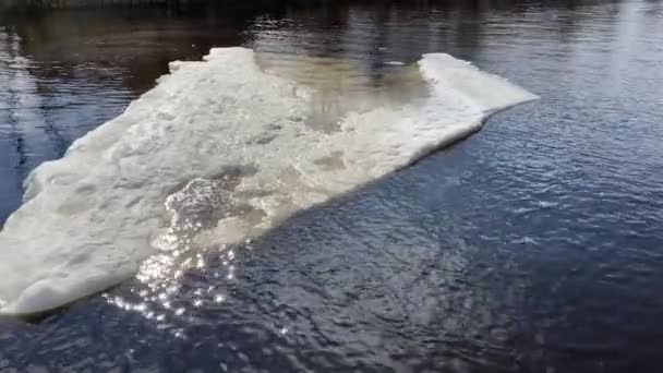 El hielo fluye río abajo — Vídeo de stock