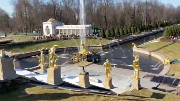 Fontaines de jardin célèbres à Peterhof timelapse — Video