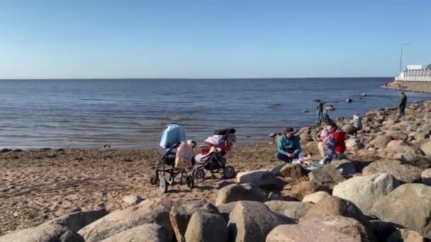 Ung familj med barnvagn som vilar på stranden — Stockvideo