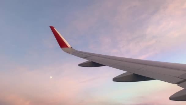Samolot lata i obraca się równo o zachodzie słońca — Wideo stockowe