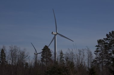 Ormandaki türbinleri