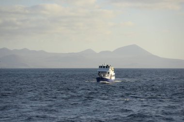 Floreana Adası, Galapagos Adaları, Ekvador