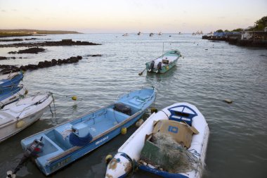 Santa Cruz Adası, Galapagos Adaları, Ekvador 'da bir balıkçı teknesi.