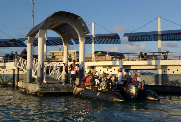 Descarga Pasajeros Embarcaciones Muelle Puerto Ayora Isla Santa Cruz Islas — Foto de Stock