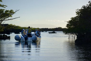 Elizabeth Körfezi, Isabela Adası, Galapagos Adaları, Ekvador