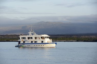 Küçük yolcu gemisi Angelito I Urbina Körfezi 'nde demirledi.