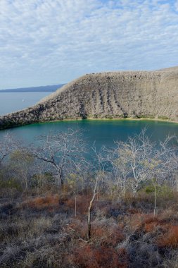 Darwin Gölü Sonbaharda, Tagus Koyu, Isabela Adası, Galapagos Adaları, Ekvador