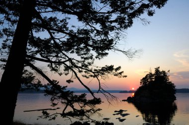 Sun setting behind a silhouetted fir tree and small islet, Wallace Island, Gulf Islands, British Columbia, Canada