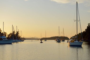 Boats at anchor in Princess Bay, Wallace Island, Gulf Islands, British Columbia, Canada