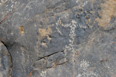 Mermer Kanyon 'da petroglifler, Ölüm Vadisi, Kaliforniya