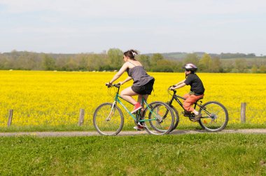 Bahar ağaçları ve yaprakların arasından süzülen su yolu, Fransa, Loire Kanalı.