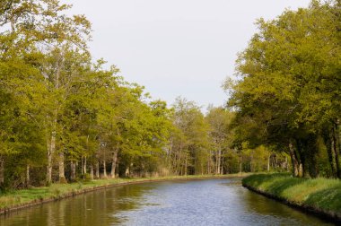 Bahar ağaçları ve yaprakların arasından süzülen su yolu, Fransa, Loire Kanalı.