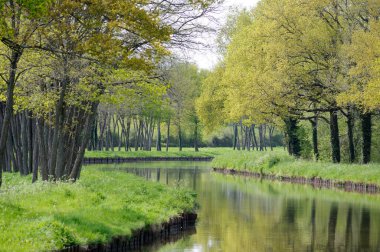 Bahar ağaçları ve yaprakların arasından süzülen su yolu, Fransa, Loire Kanalı.