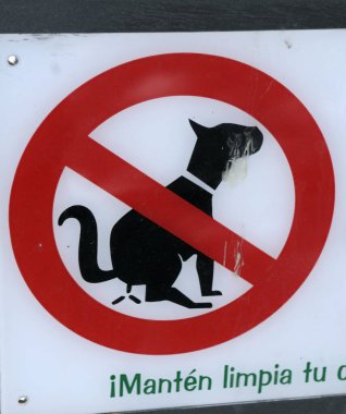 Köpek kakası yok, Ronda, Malaga, Endülüs, İspanya