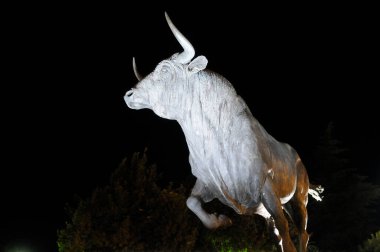 Toro de Lidia Plaza de Toros (Bullring), Ronda, Malaga, Endülüs, İspanya