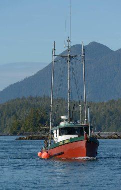 Balıkçı teknesi Tofino Harbou 'ya geliyor.