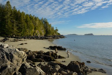 Tonquin Sahili 'nde yürüyen çift, Tofino, Vancouver Adası, British Columbia, Kanada