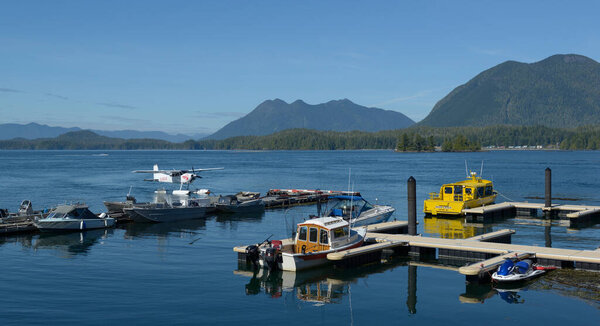 Небольшой док в гавани Тофино, Тофино, остров Ванкувер, Британская Колумбия, Канада
