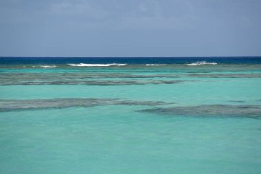 The reef at Cow Wreck Bay, Cow Wreck Beach Resort Bar & Grill, Anegada, British Virgin Islands