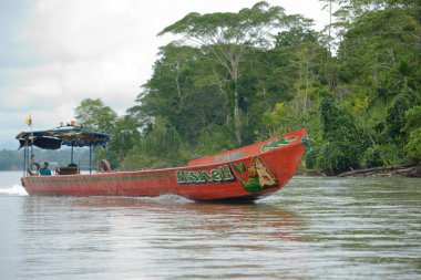 Nehir teknesi Mishell Rio Napo, Orellana, Ekvador 'a doğru ilerliyor.