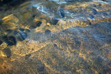 Kum taşı kayalarının üzerinde temiz su, Lahana Adası, İngiliz Kolombiyası, Kanada