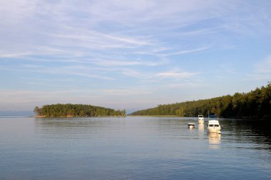 Lahana Adası, Britanya Kolumbiyası 'nda demirli tekneler