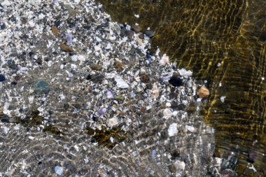 Kabuklar, Lahana Adası, İngiliz Kolombiyası