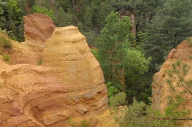 Ağaçlar ve kayalıklar, Sentier des Ocres, Roussillon, Vaucluse, Provence-Alpes-Cote d 'Azur, Fransa