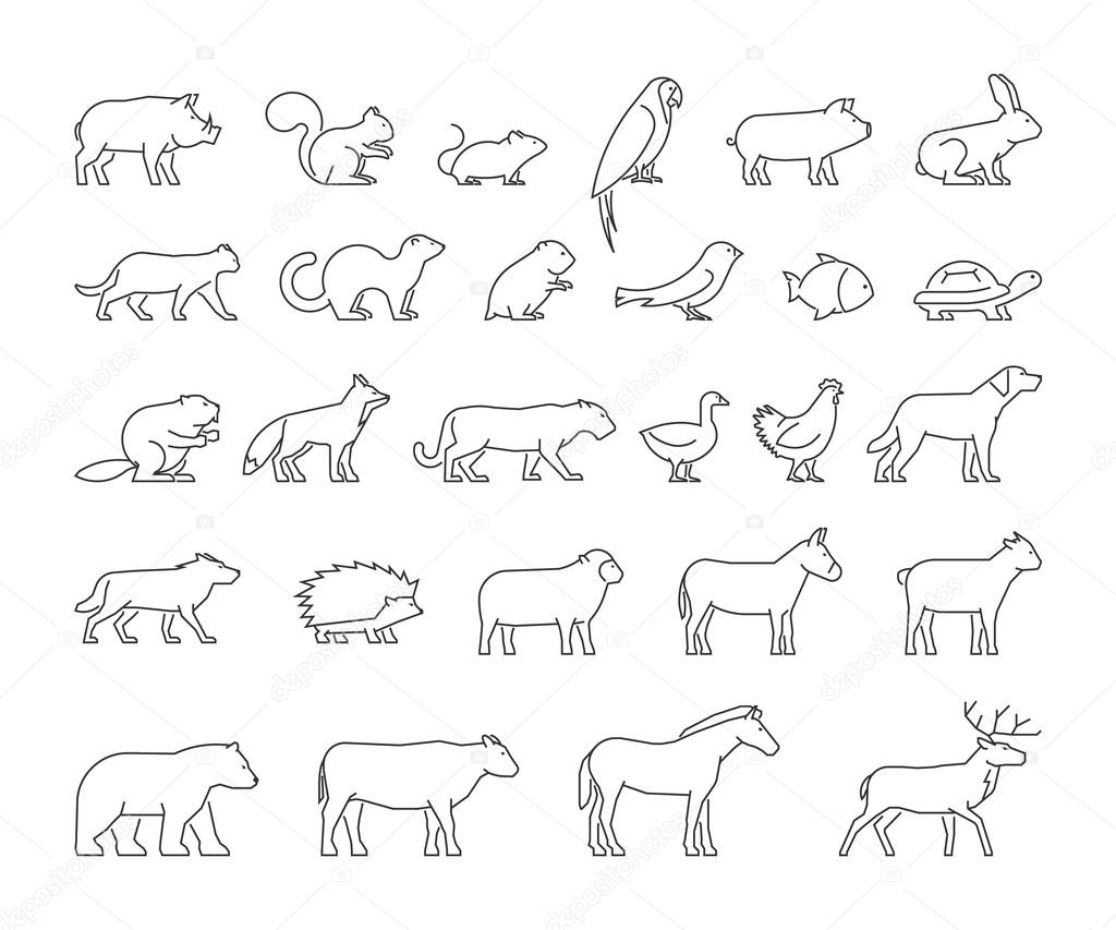 Vector line set of domestic and wild animals.