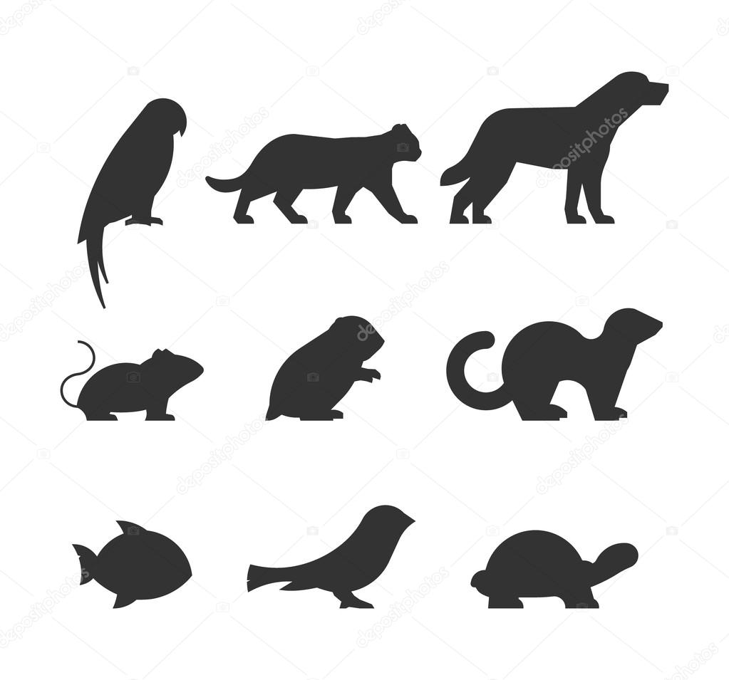 Vector set of figures of pets. Black silhouettes pets isolated on white. Silhouettes parrot, cat, dog, mouse, hamster, ferret, fish, canary and turtle.
