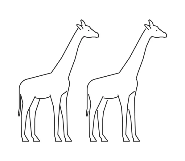 Vektor konturen giraff. Linje siluett giraff. — Stock vektor