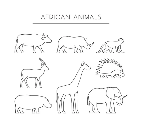 Vector line african animals. Outline icons african animals. — Stock Vector