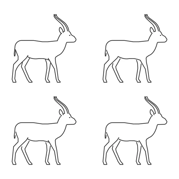 Gazelle vectorielle. Ensemble de ligne moderne de springbok . — Image vectorielle
