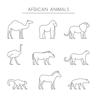 Afrika hayvanlarının vektör çizgi seti.