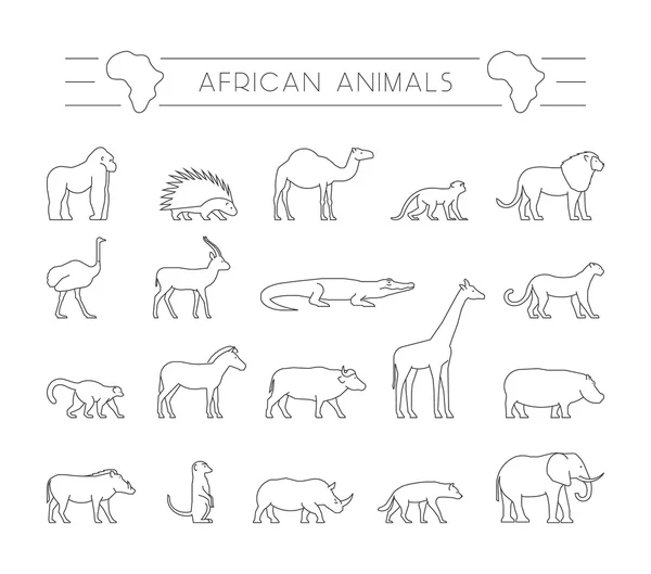 Vector set of outline African animals. — Stock Vector