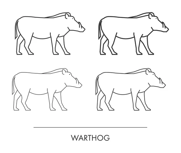 Vector delinear warthog em um fundo branco . —  Vetores de Stock