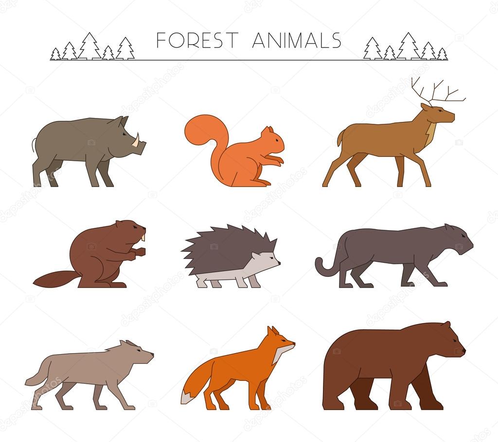 Outline set of forest animals. Linear silhouettes forest animals isolated on white. Line forest animals. Vector icons wild boar, squirrel and deer. Outline silhouette beaver, hedgehog and panther.