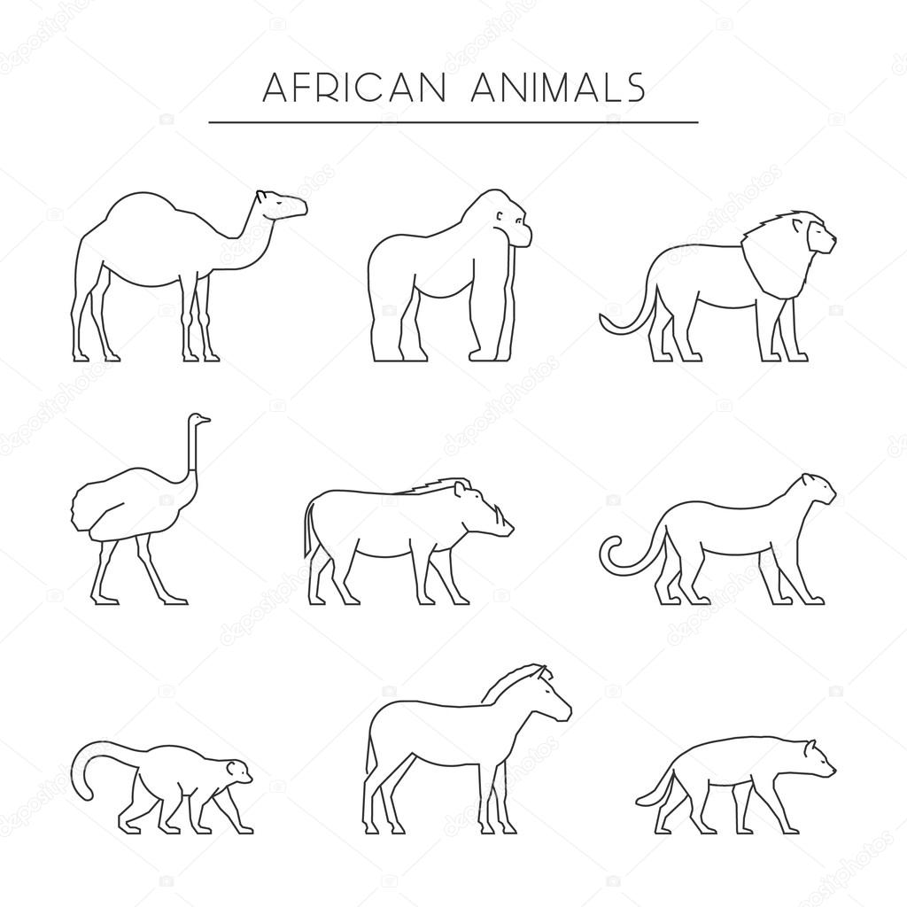 Vector line set of african animals. Outline dromedary, gorilla and lion. Line icon ostrich, warthog and leopard. Linear zebra, lemur and hyena. Linear silhouettes african animals isolated.