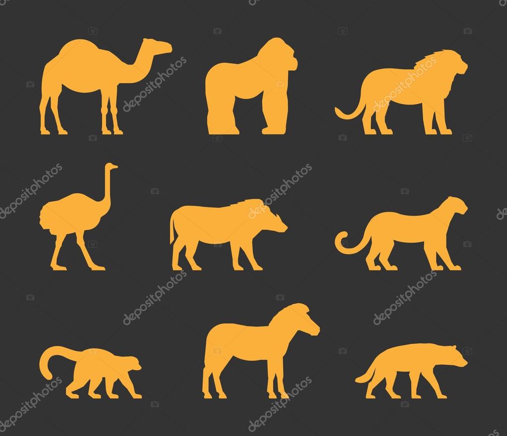 Vector gold set of silhouettes african animals. Icon dromedary, gorilla and lion. Figure ostrich, warthog and leopard. Symbol zebra, lemur and hyena. Silhouette african animals isolated.